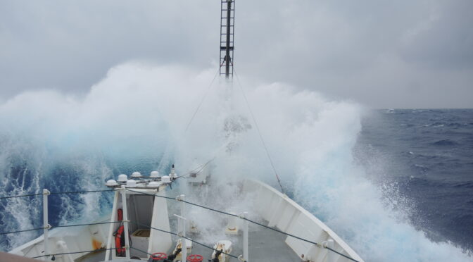 Dark Waters: Fishing Risks We Don’t Like to Talk About