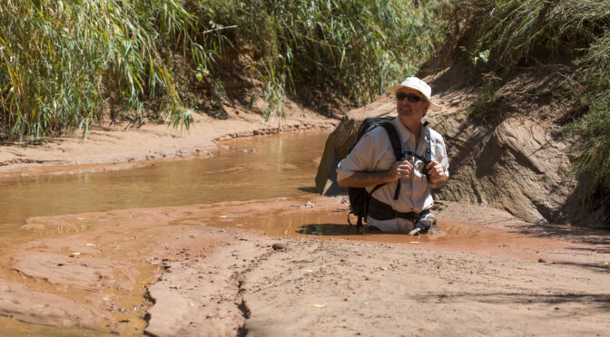 The Truth About Quicksand: Real Deaths, High Water Risks, and Survival Tips