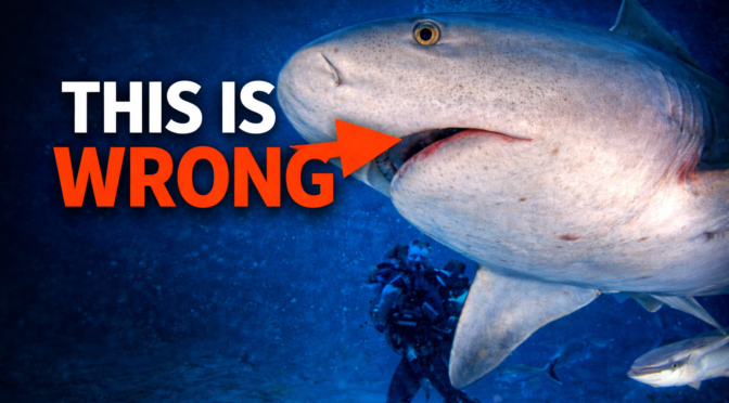 The Most Dangerous Shark? I Found Out The Experts Are Wrong