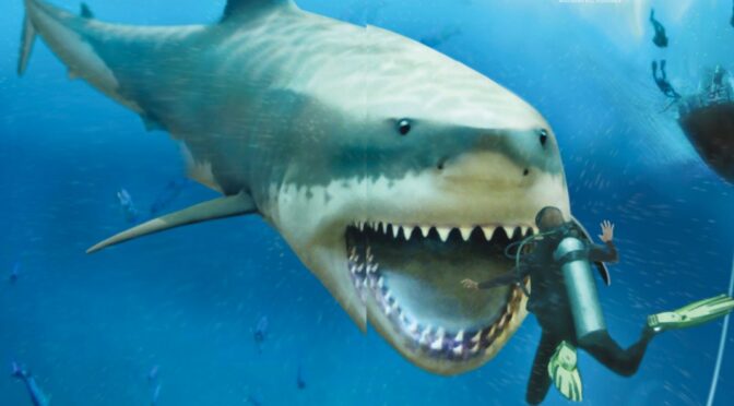 Is The Megalodon Still Alive? Giant Shark Reports Raise Questions