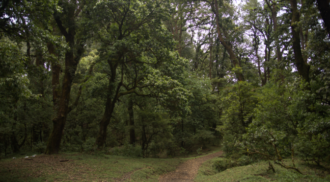 The Trail That Shouldn’t Be There: A Dark Warning in Remote Country